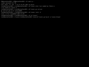 Tiexec Demo