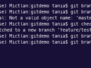 Tests