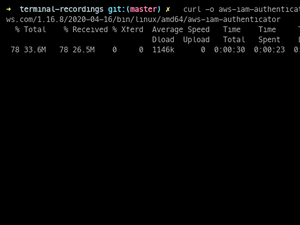 Install AWS IAM Authenticator CLI