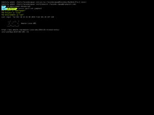Jarvis - Vault SSH Demo