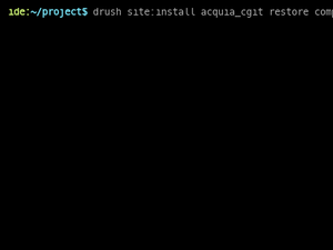 IDE Backscroll Bug