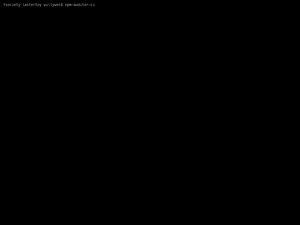 Npm-Auditor-Ci