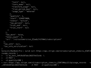 Api Call Subscription Item