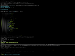 Nira-Package Template
