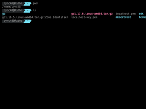 Try-Terminalizer