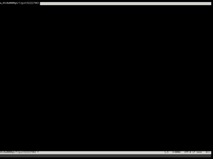Gist Bug