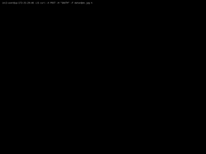 Sdf