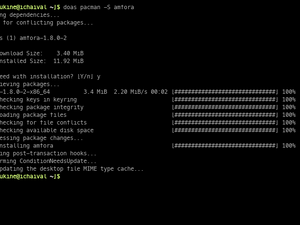 Installing Amfora In Manjaro