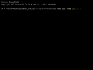 Concert-This Function Of Liri.Js App