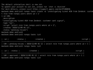RunOps Demo
