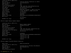 Ipconfig Results