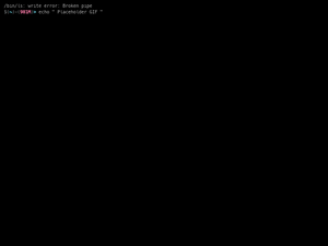 Placeholder-Dns