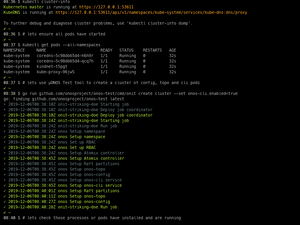 Recording Of Micro-ONOS Installation Using Onit