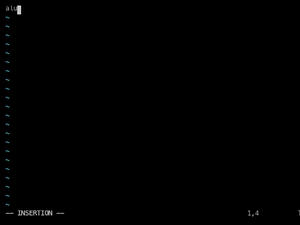 Vim