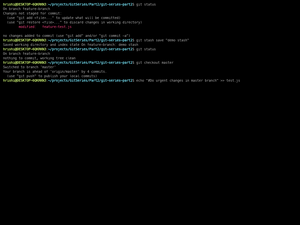 Git-Stahs Demo