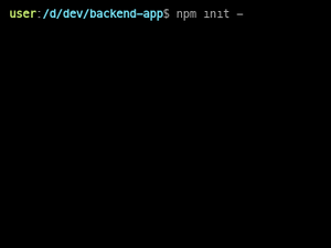 Npm Init
