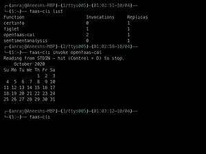 Openfaas-6