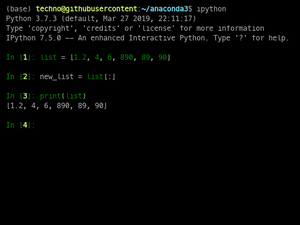 Python Copy List To New List