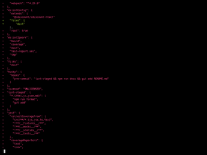 Package.Json