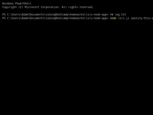 Logging Functionality Demo For Liri.Js App