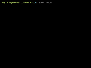 Terminalizer Hello World
