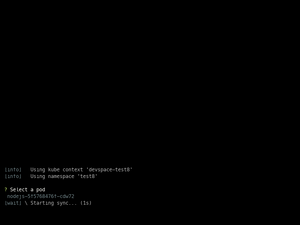 Demo: Devspace Sync
