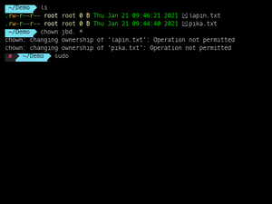 Prefix Command