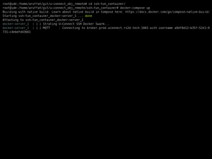 Server