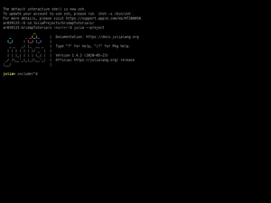 Gridap Tutorial