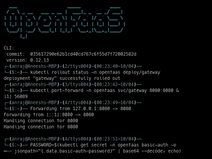 Openfaas-2