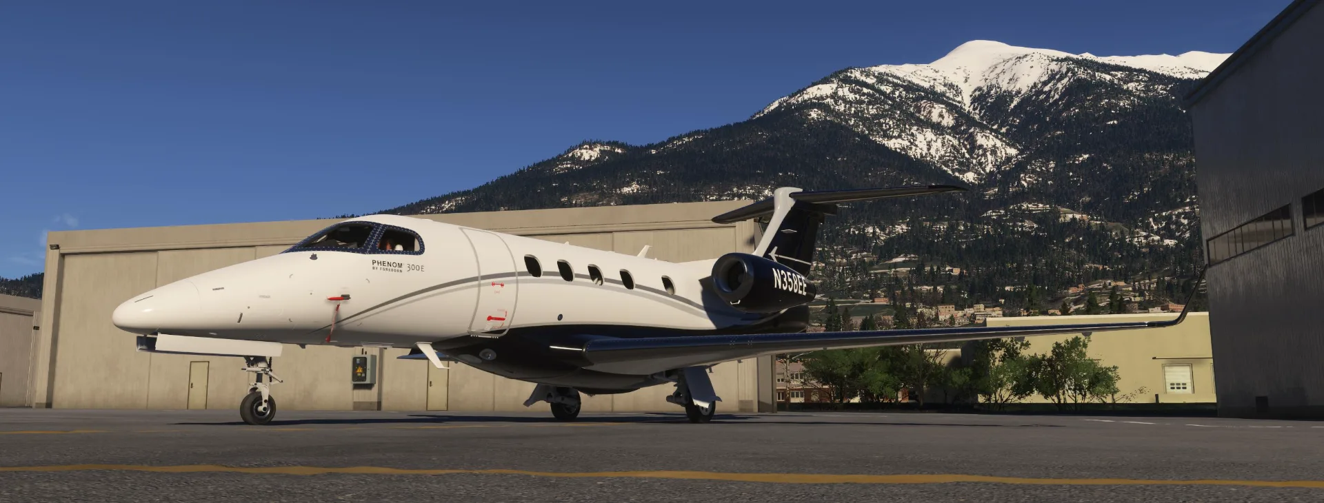 FSReborn Phenom 300E - Initial Impression - Threshold