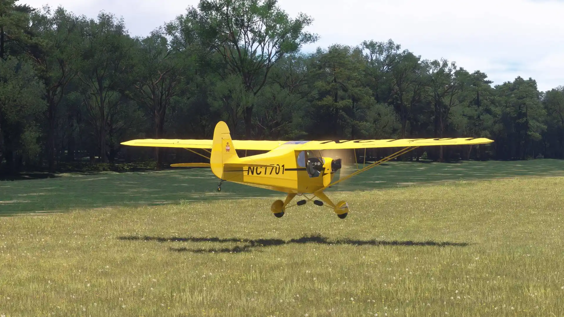 The Missing Ingredient in Flight Simulation: Ownership - Threshold