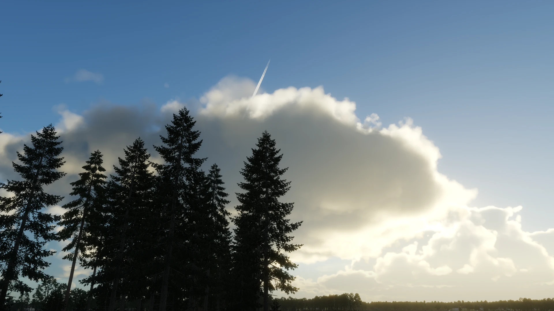 __wf_reserved_inherit