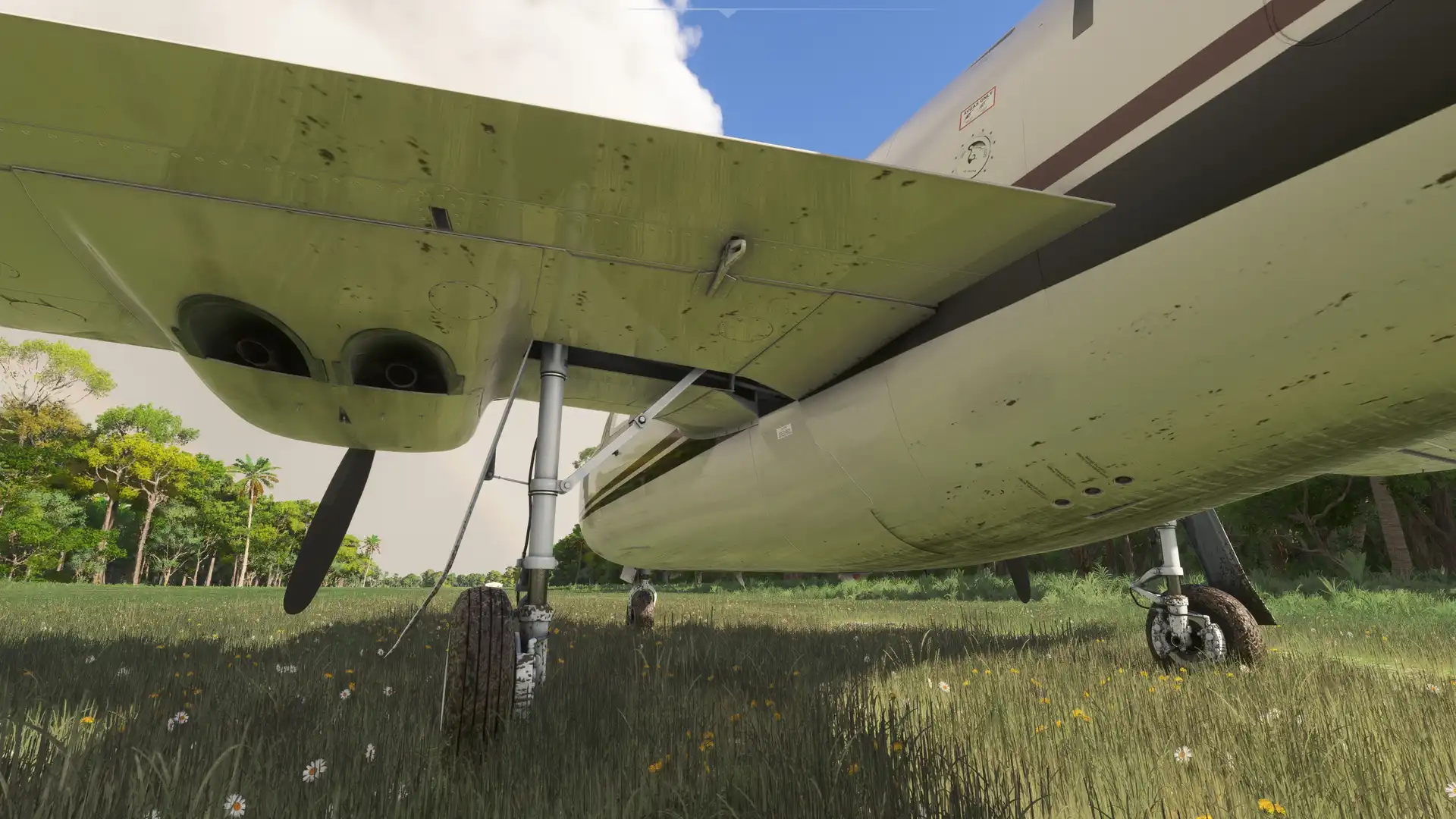 __wf_reserved_inherit