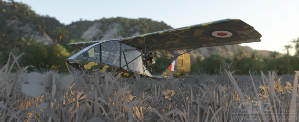 __wf_reserved_inherit