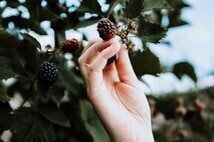 Vortrag Herbstzeit  Zeit für Deine Gesundheit!