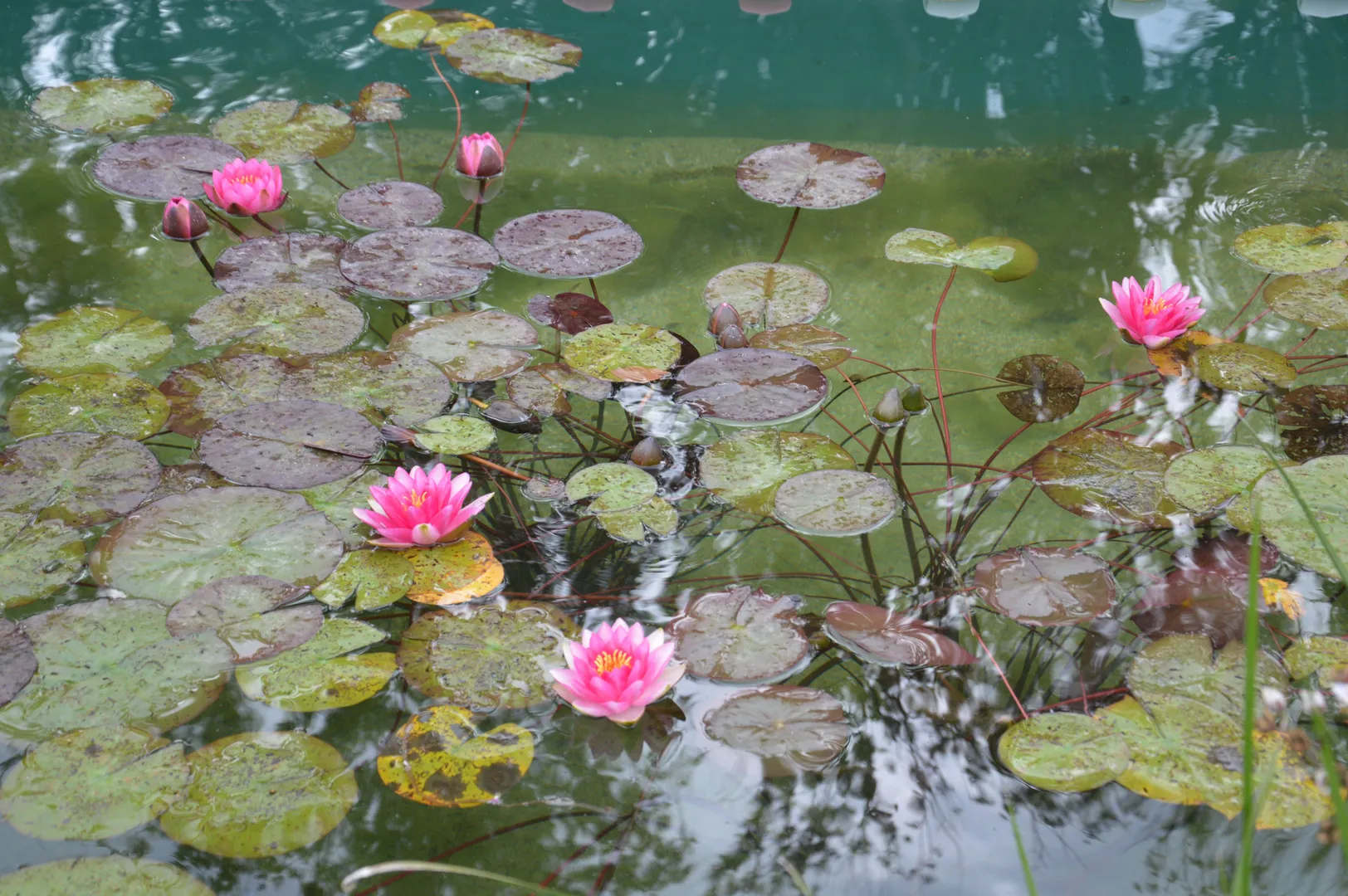 Aktuelle Infos zur Badesaison 2026 im Naturbad 
