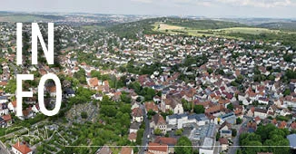 Rückschnitt von Sträuchern, Büschen und Bäumen