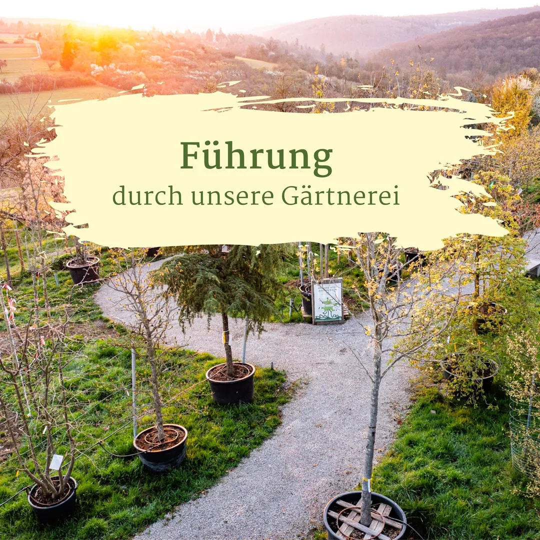 Tag der offenen Gärtnerei 🎉