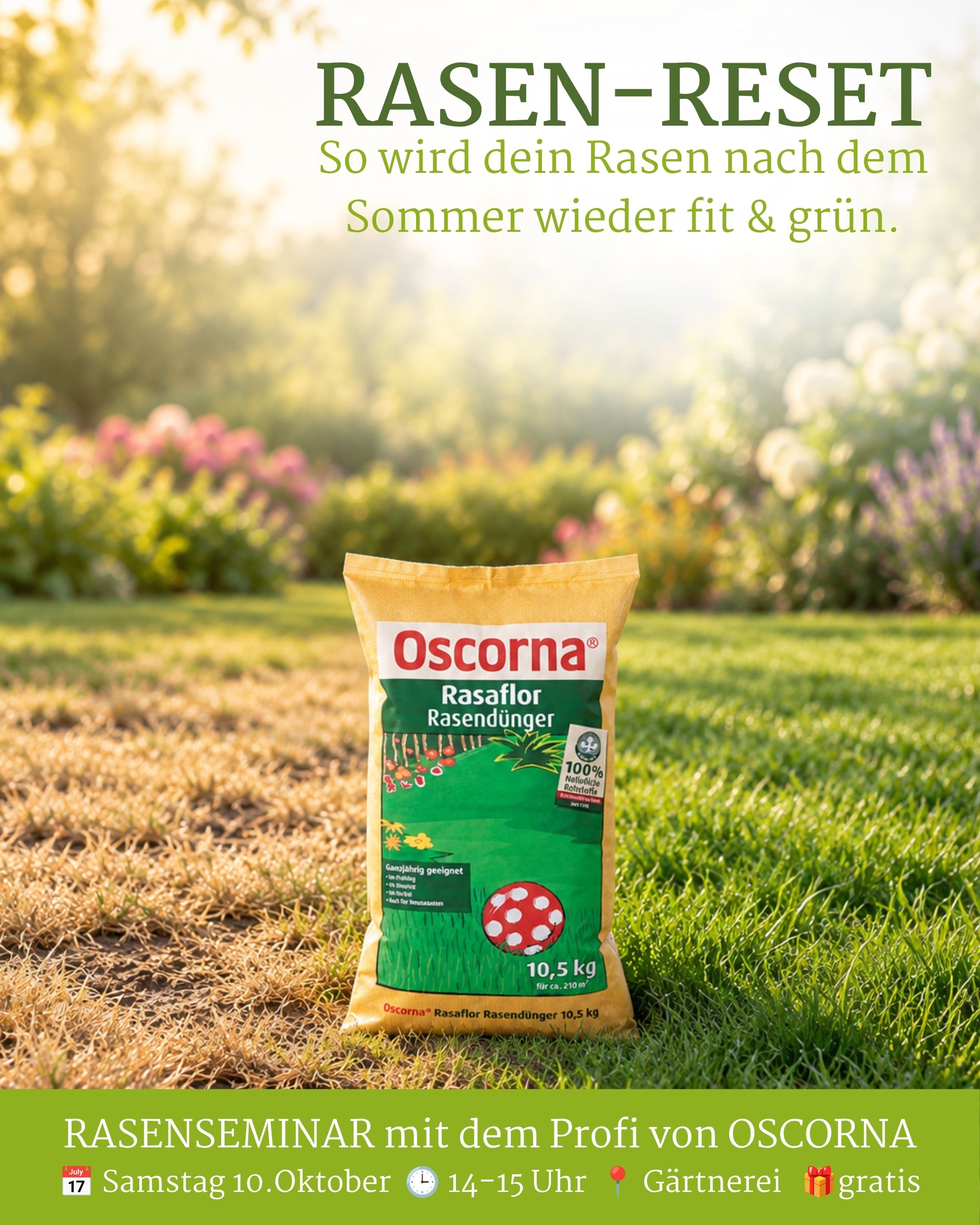 Rasenseminar 🔄 RASEN-RESET 🔄