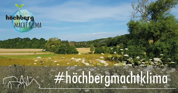 Klimawald Höchberg: Ein Zukunftsprojekt wächst