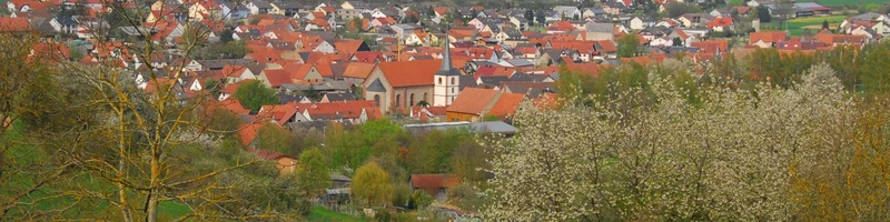 Die Krabbelkäfer möchten weiterkrabbeln