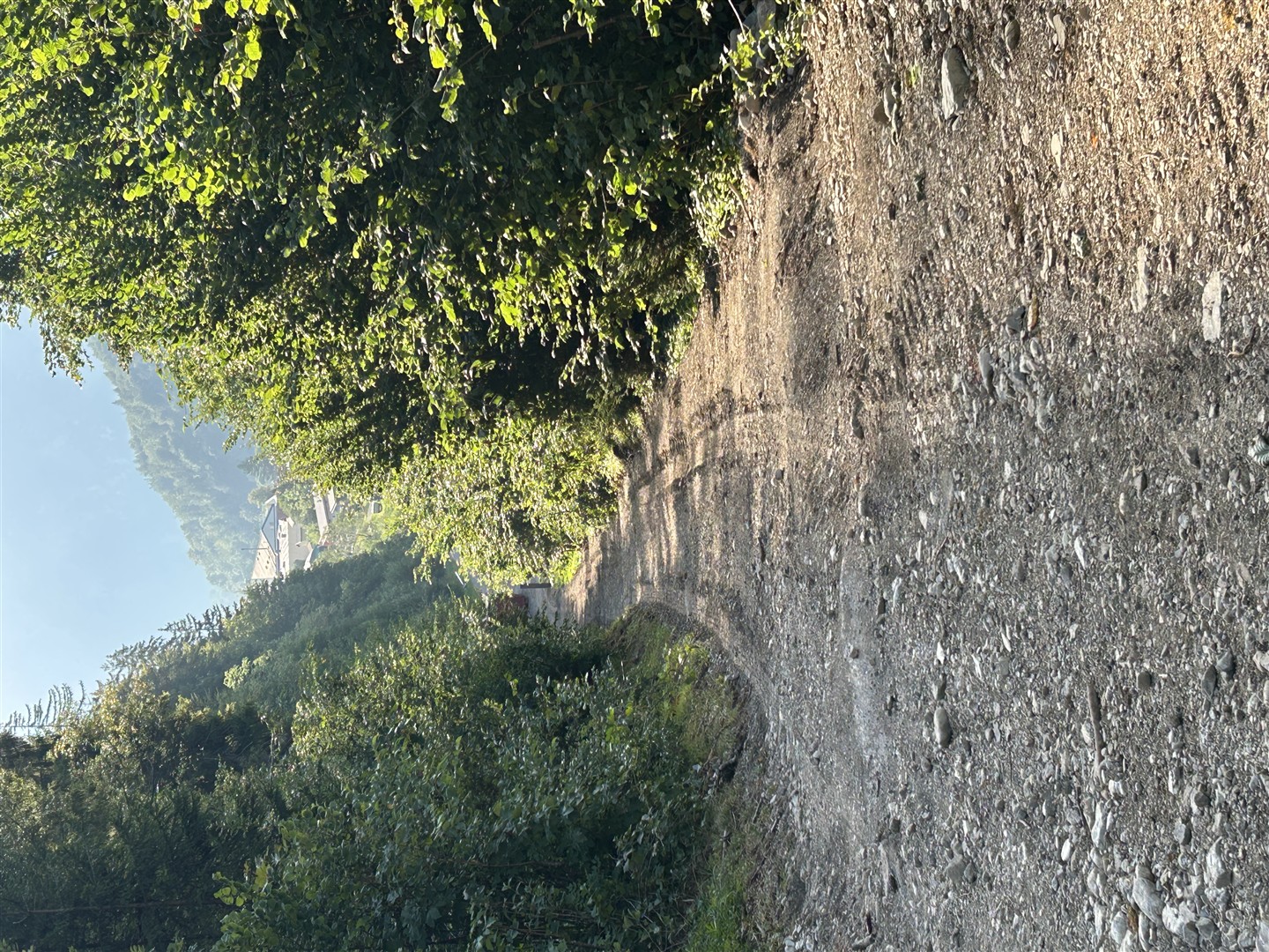 Forstweg von Oberau nach Ettal: Mehrwöchige Bauarbeiten beginnen am 31. August