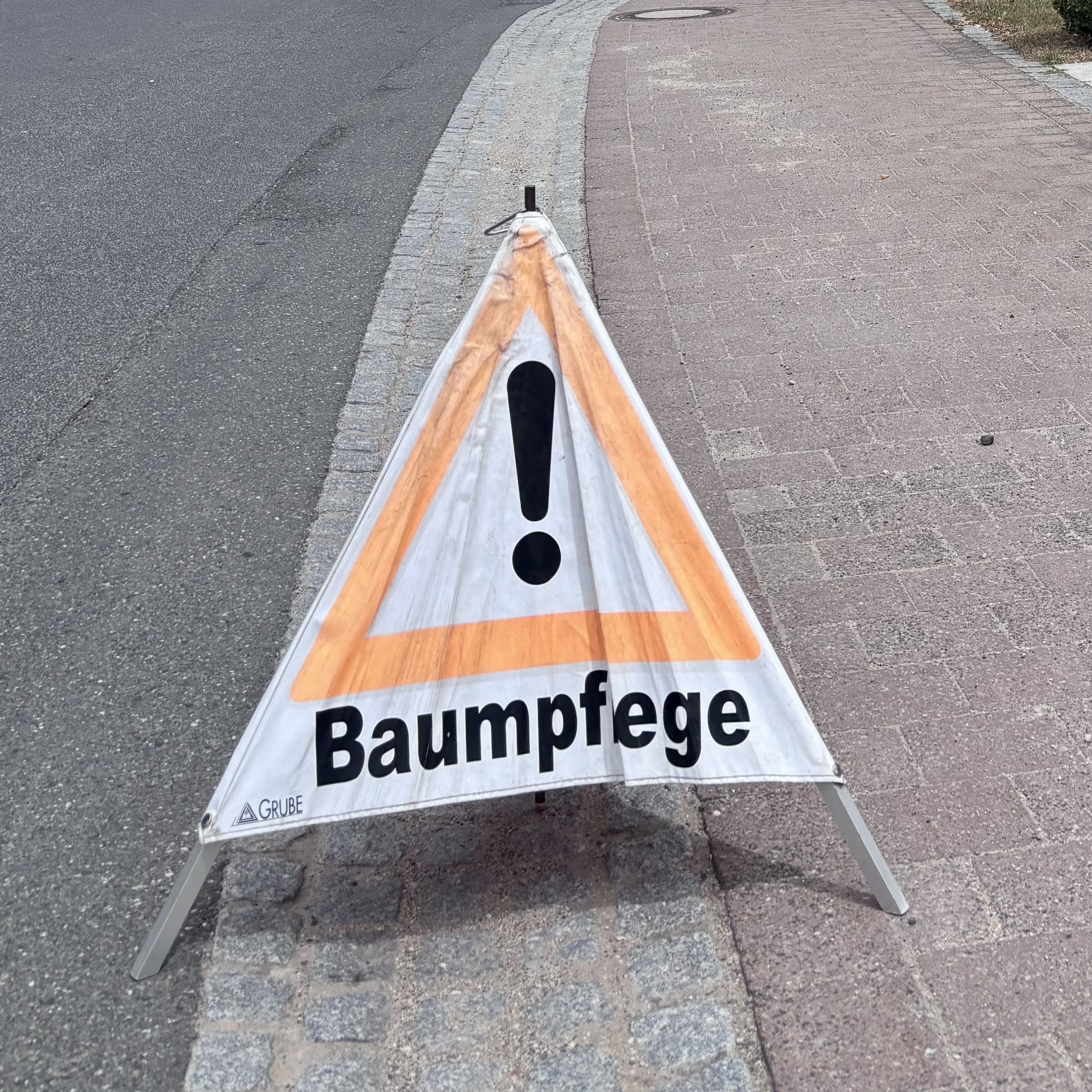 Gute Nachrichten zum Eichenprozessionsspinner