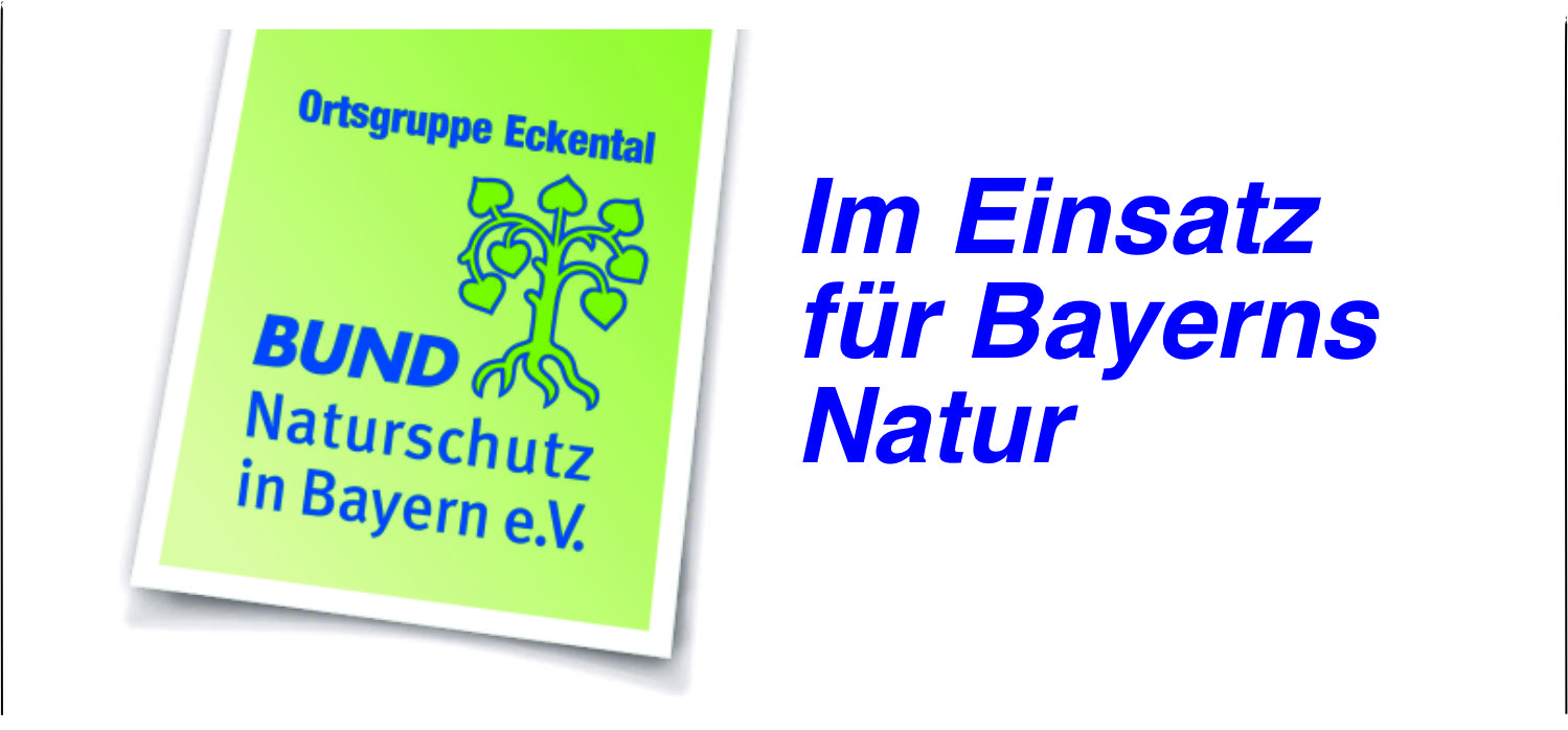 Mitgliederversammlung 