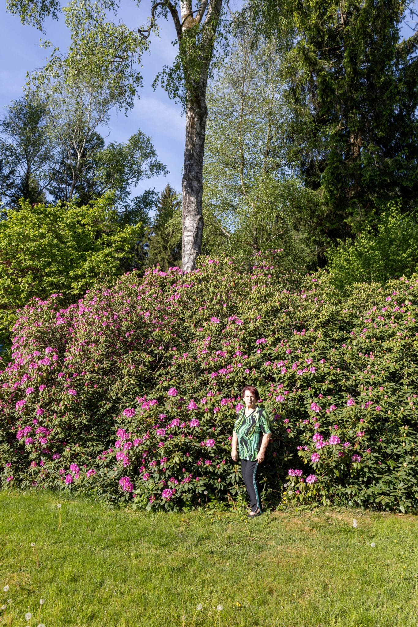 Die mit dem Rhododendron spricht: Ingeborg Fox (Juli 2026)