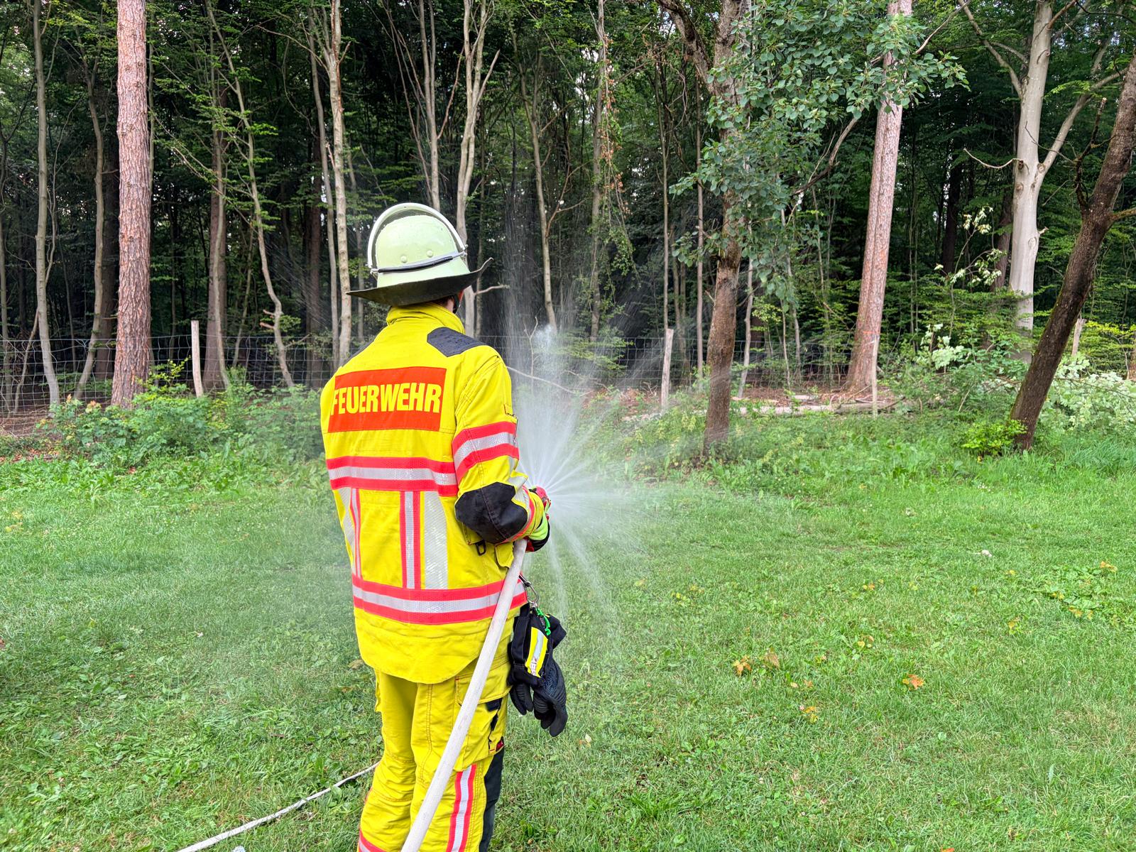 Wald- und Flächenbrände – Gemeinsam Brände verhindern