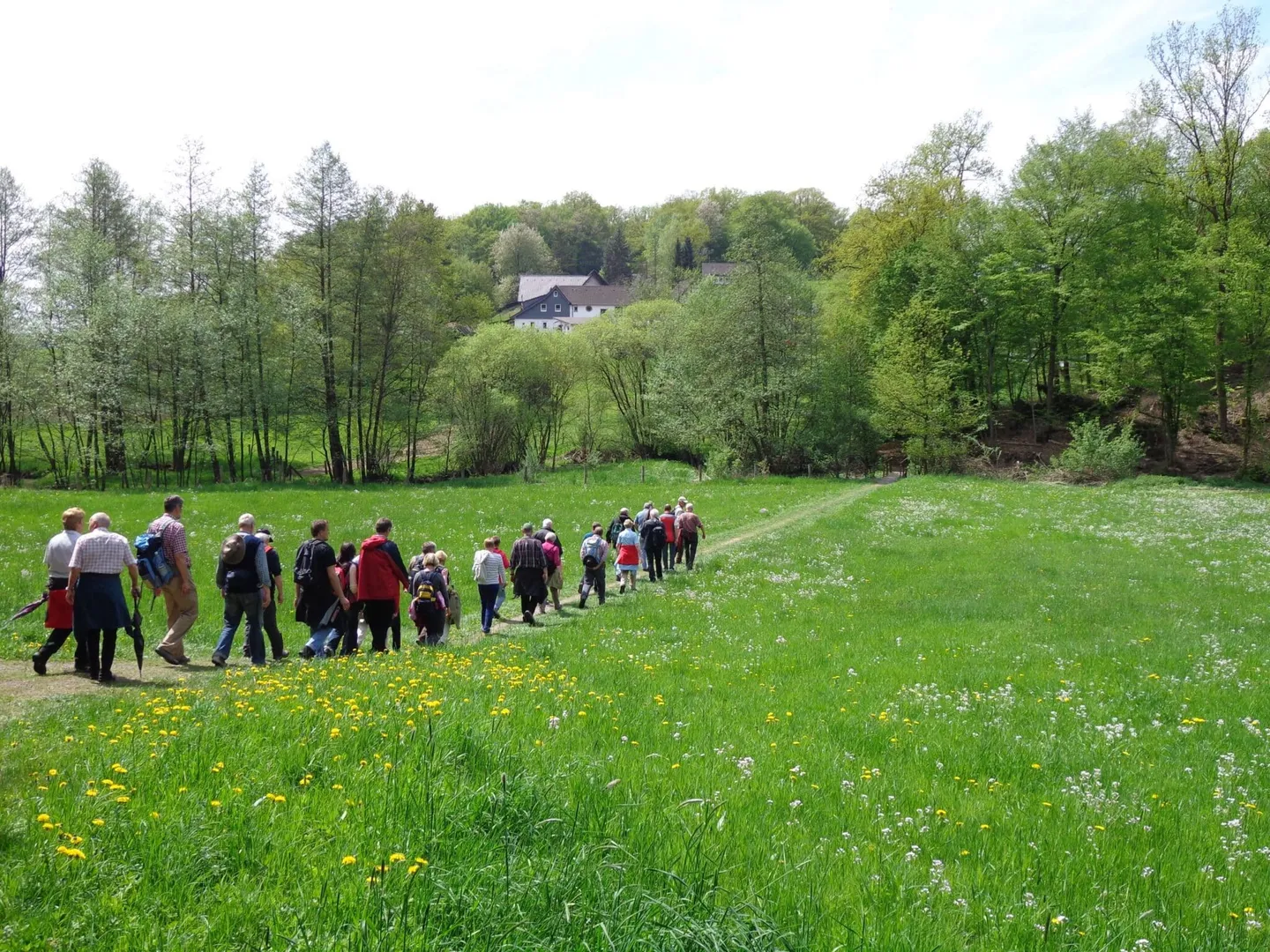 bergische-wanderwoche-10-18-mai-2025.jpg