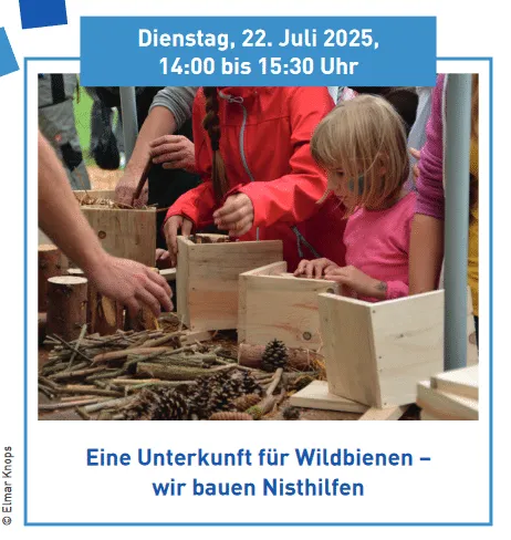 aqualon-ferienprogramm-entdeckerwoche-nisthilfen-b.png
