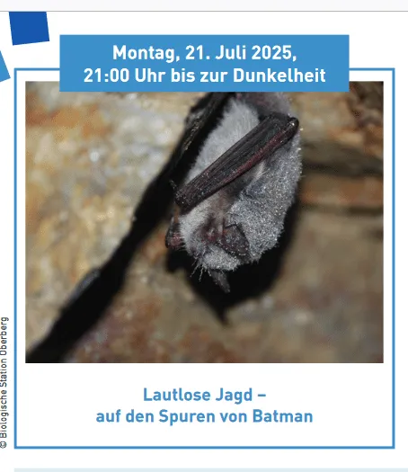 Aqualon Ferienprogramm - Entdeckerwoche 